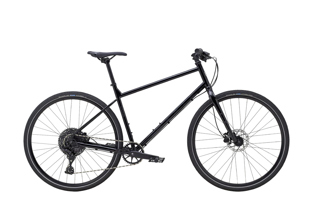 Marin Muirwoods – Quick Cranks