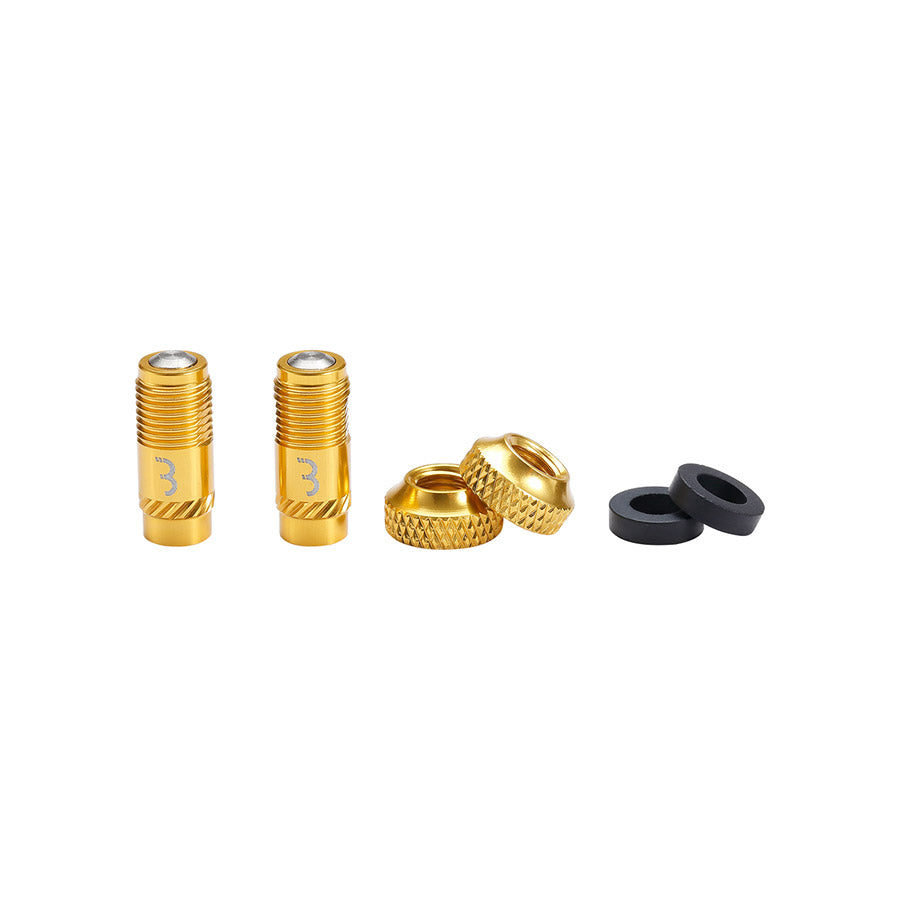 BBB Cycling, BTI-165 CoreCap, Tubeless Valve, Black, Pair