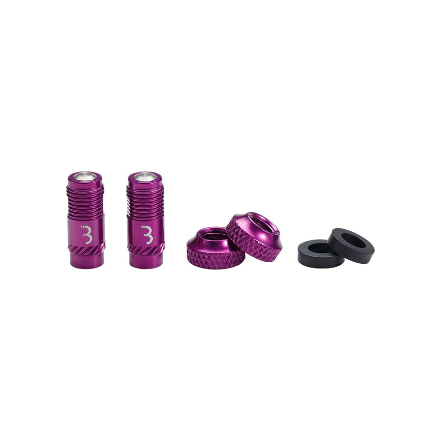 BBB Cycling, BTI-165 CoreCap, Tubeless Valve, Black, Pair