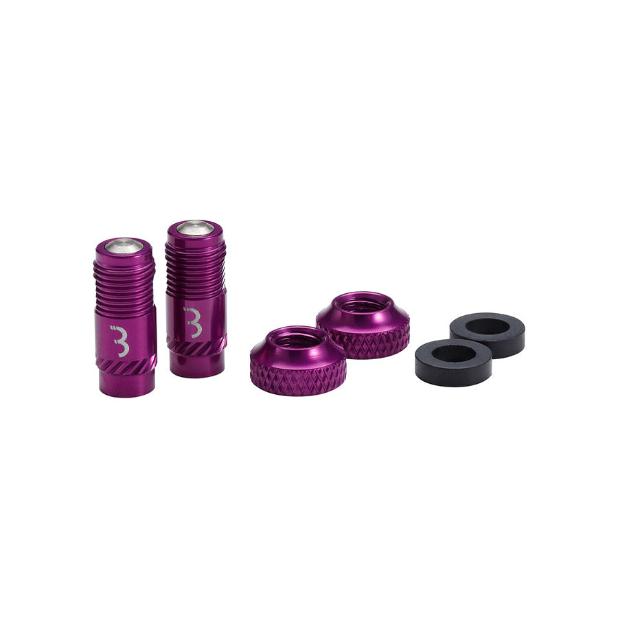 BBB Cycling, BTI-165 CoreCap, Tubeless Valve, Black, Pair
