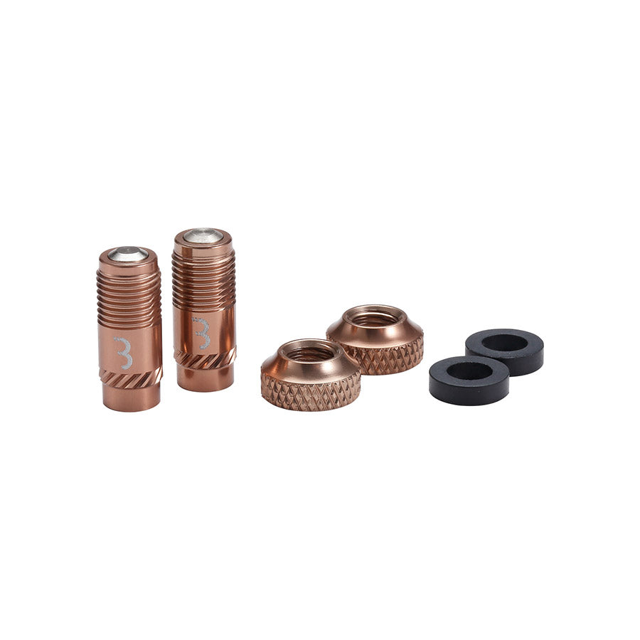 BBB Cycling, BTI-165 CoreCap, Tubeless Valve, Black, Pair