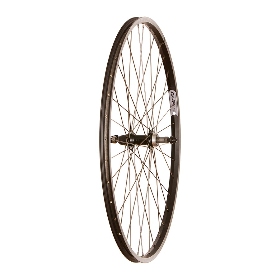 Wheel Shop, Evo Tour 20, Wheel, Rear, 700C / 622, Holes: 36, QR, 135mm, Rim, Freewheel