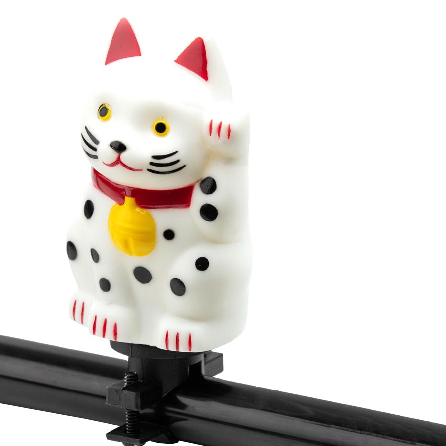 EVO, Honk, Honk, Dinosaur