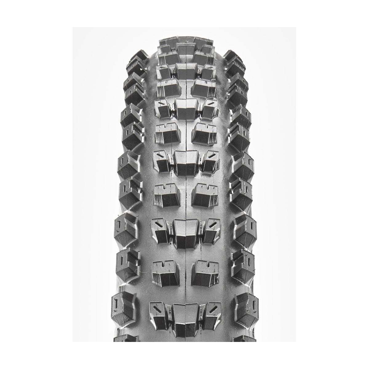 Maxxis Tire DH Dissector F60TPI 3C Maxxgrip DP TR WT Tires/tubes